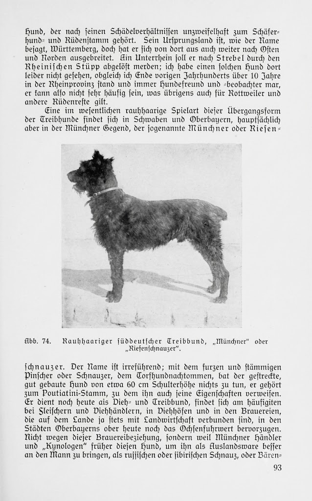 Max von Stephanitz, Der deutsche Schäferhund in Wort und Bild, 1921